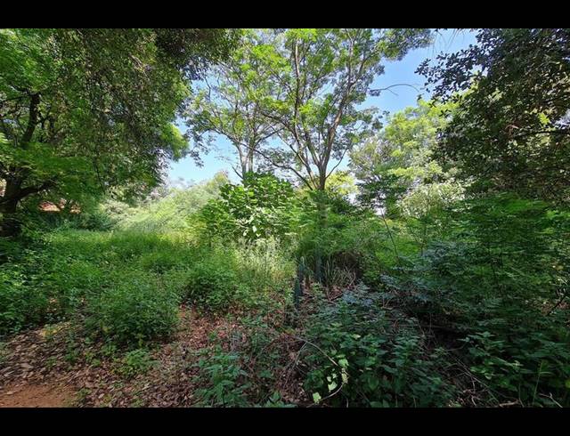 LAND FOR SALE IN SANDHURST